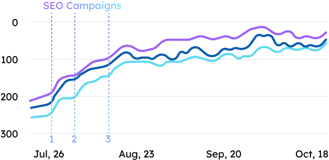 SEO Campagains guest counts